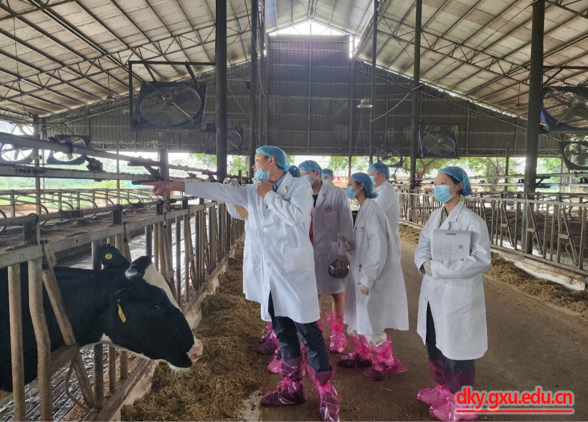 英国上市公司365