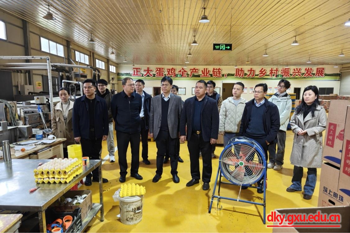 英国上市公司365