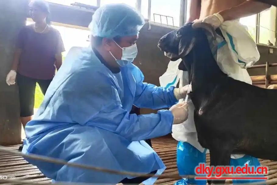 英国上市公司365