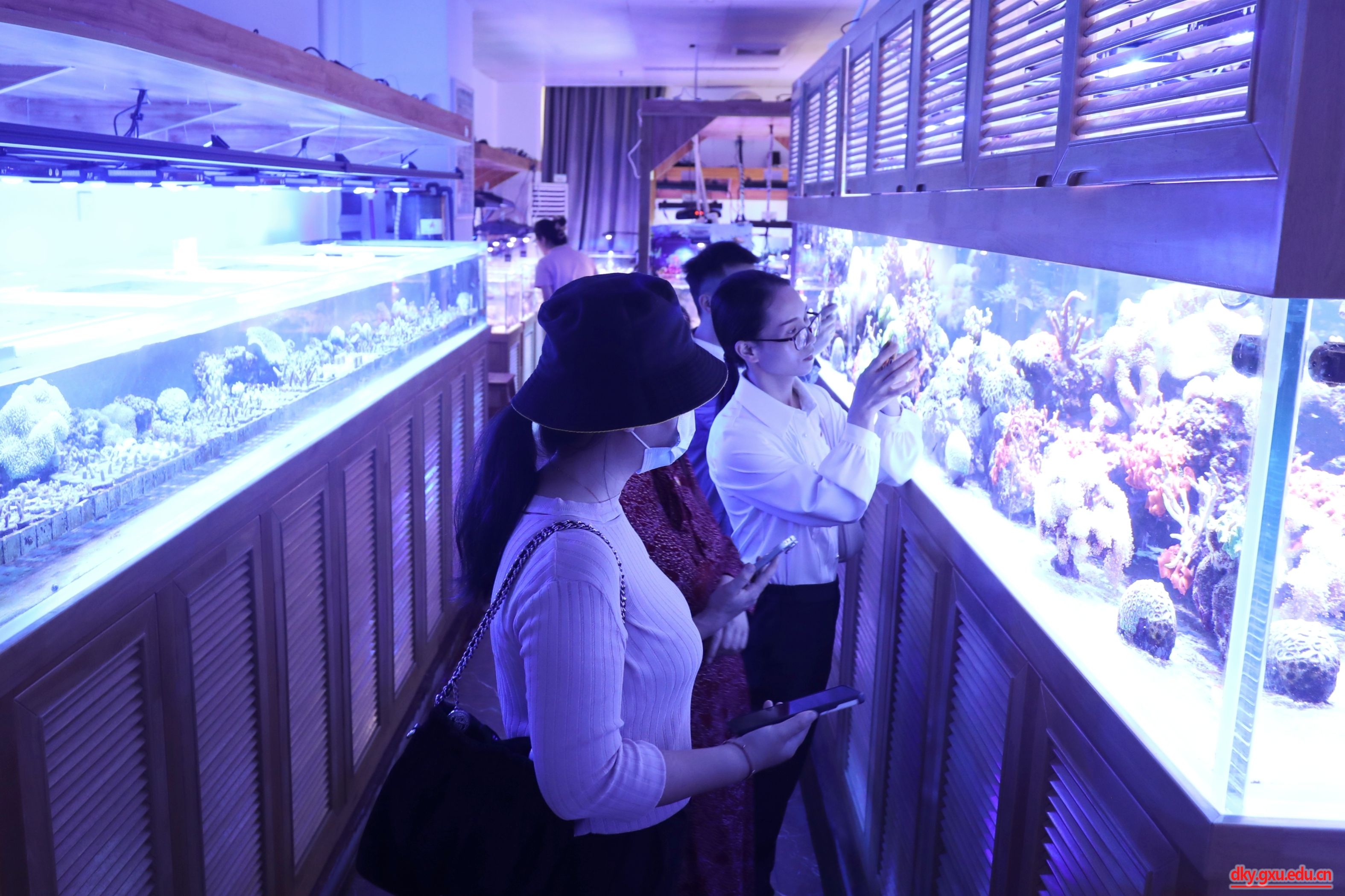 英国上市公司365