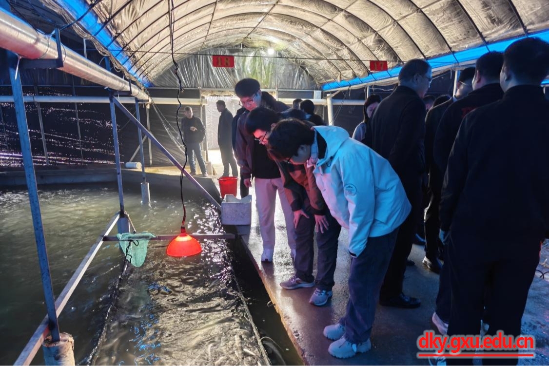 英国上市公司365