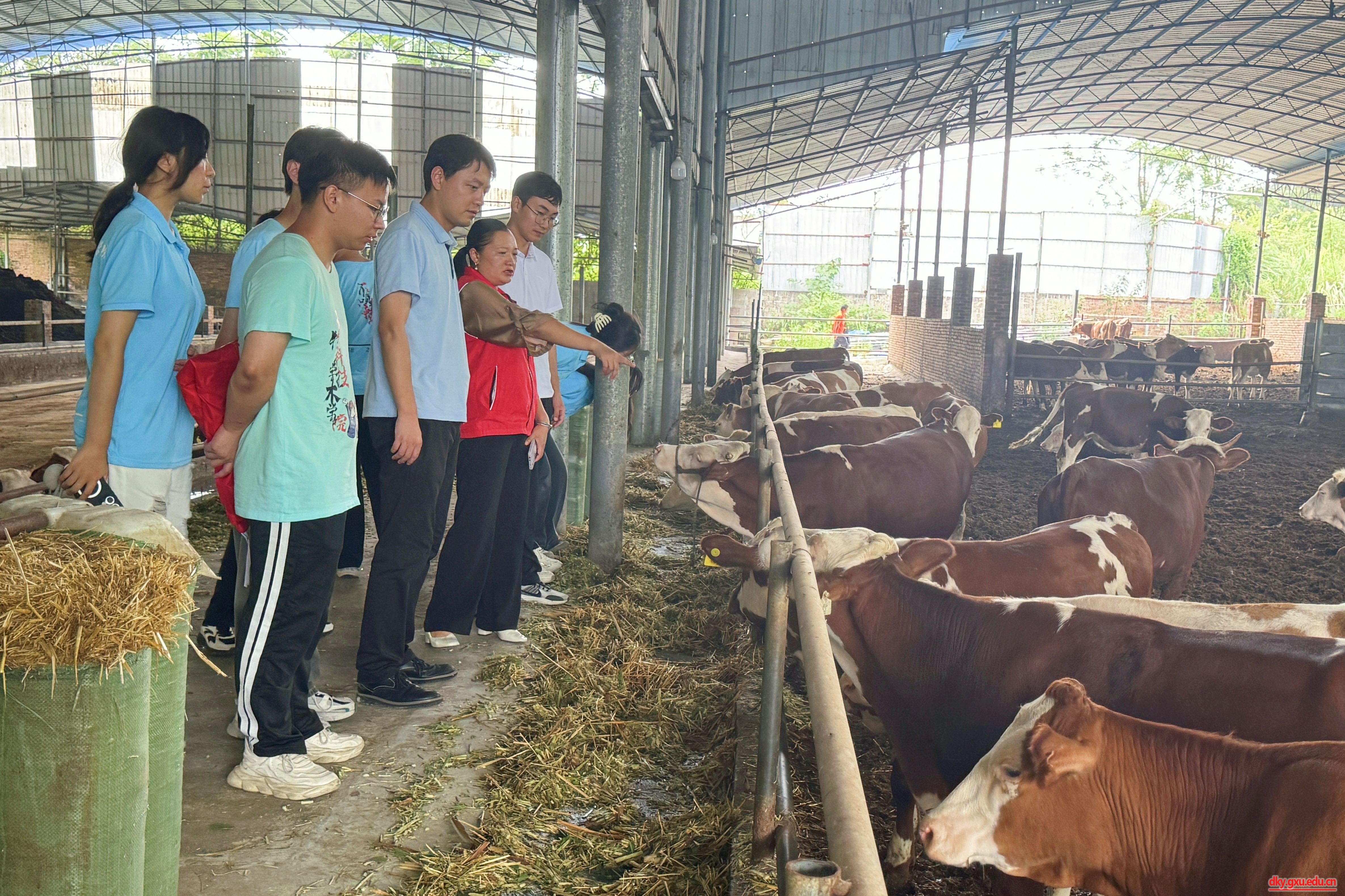 英国上市公司365