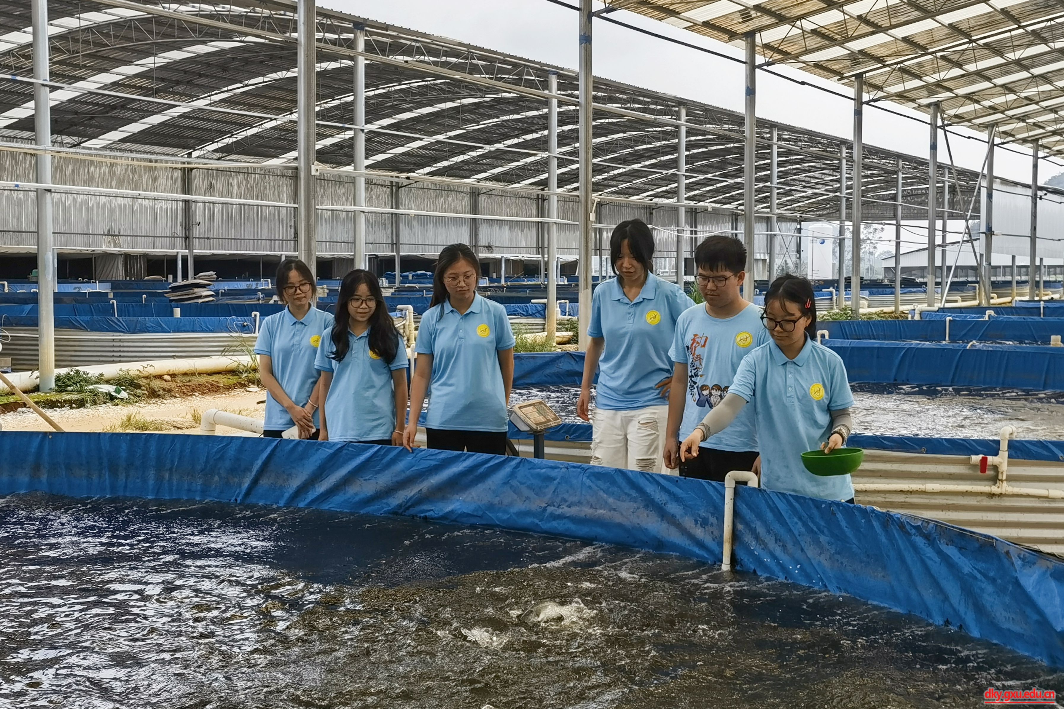 英国上市公司365