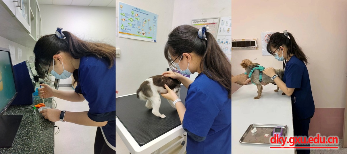 英国上市公司365