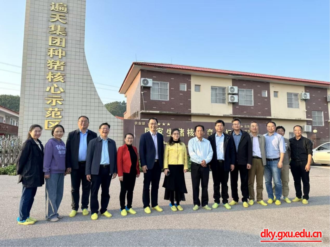 英国上市公司365