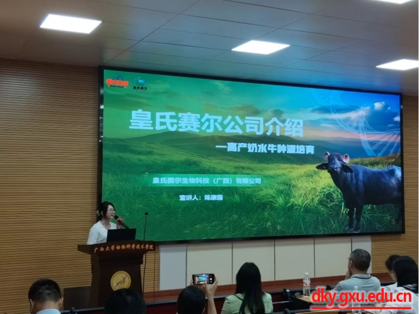 英国上市公司365