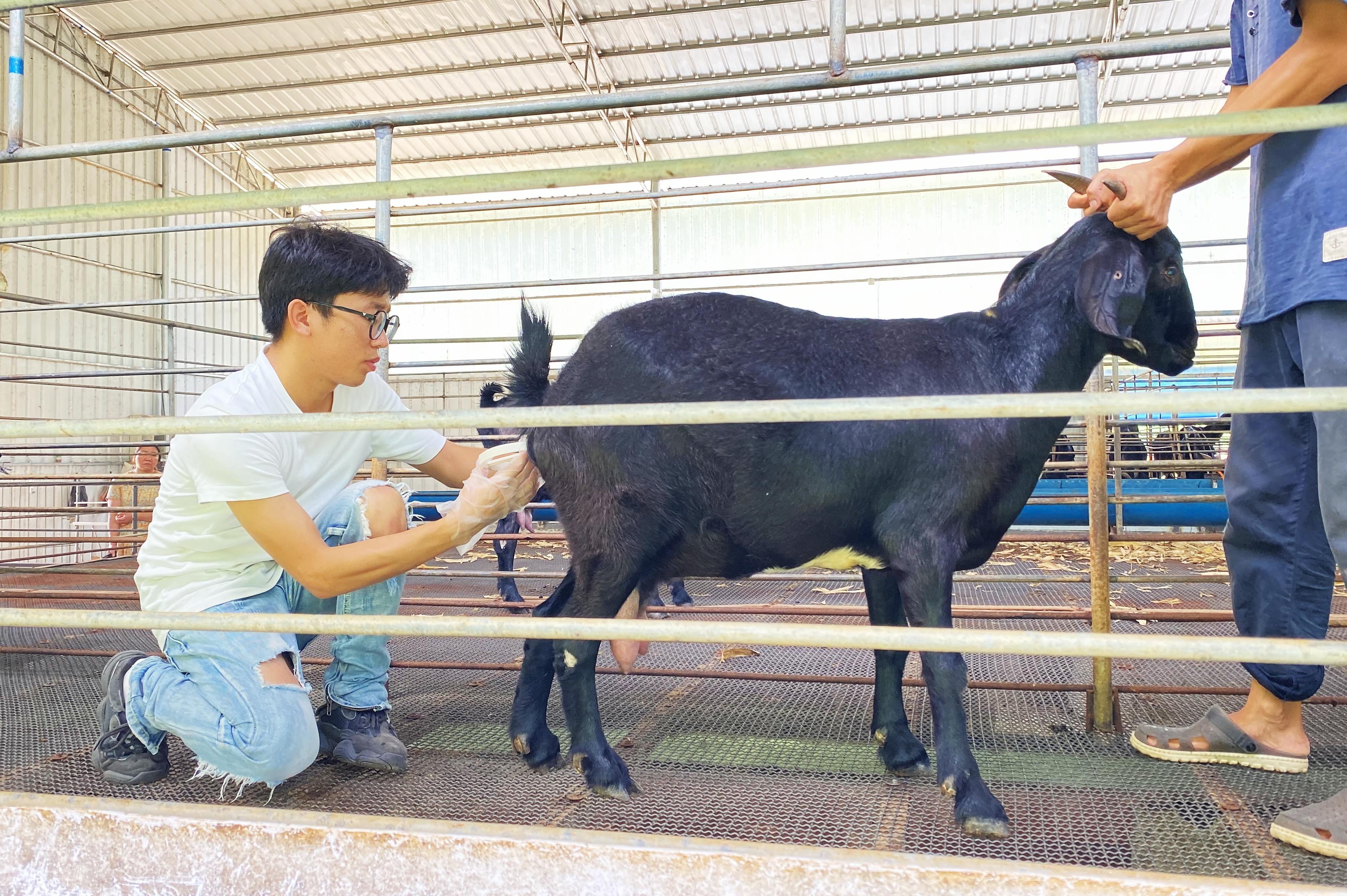 英国上市公司365