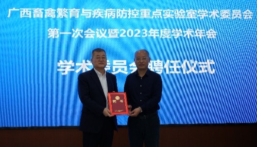 英国上市公司365