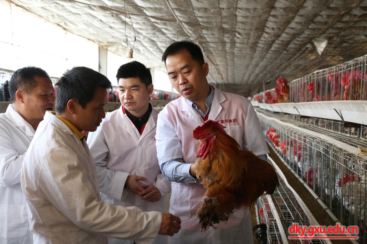 英国上市公司365