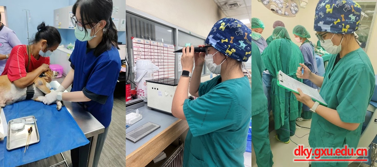 英国上市公司365