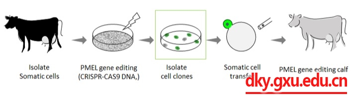 英国上市公司365