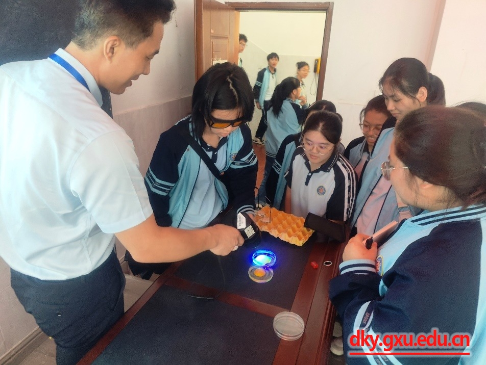 英国上市公司365