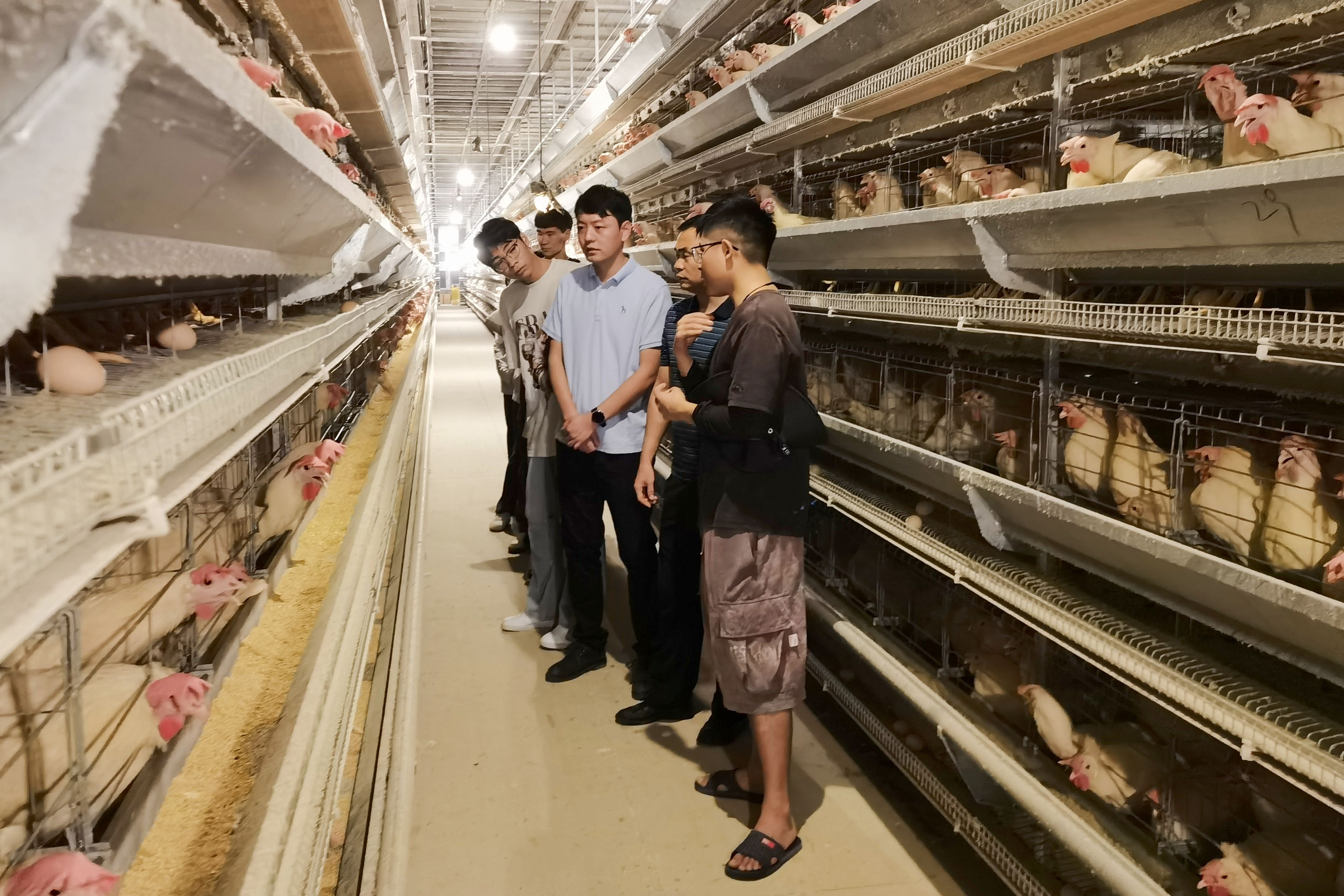 英国上市公司365