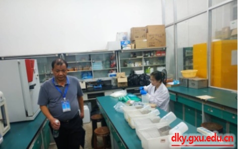 英国上市公司365