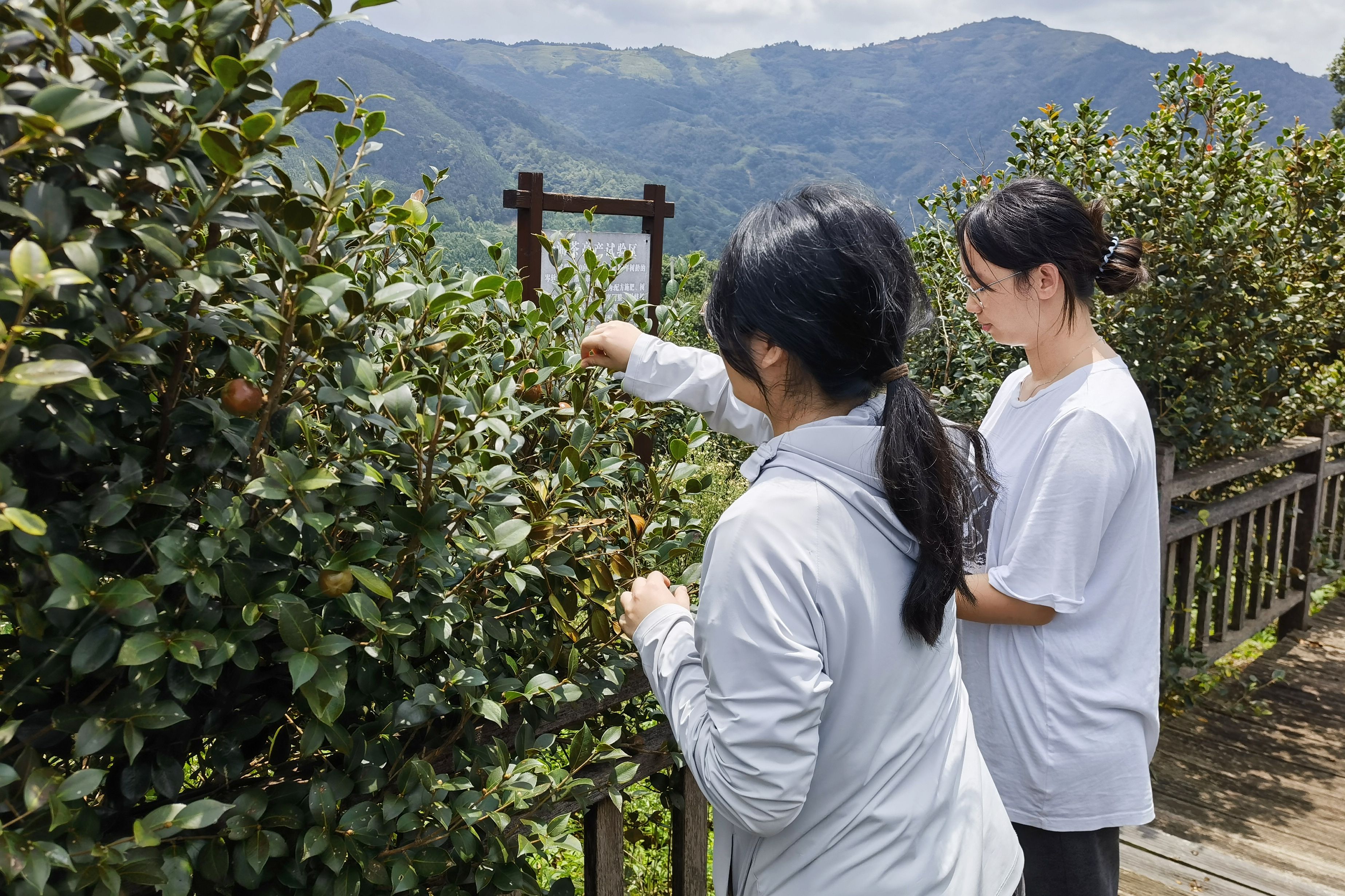 英国上市公司365