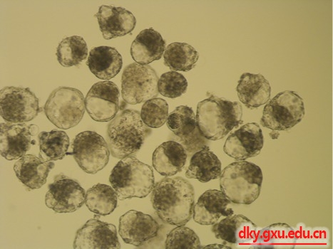 英国上市公司365