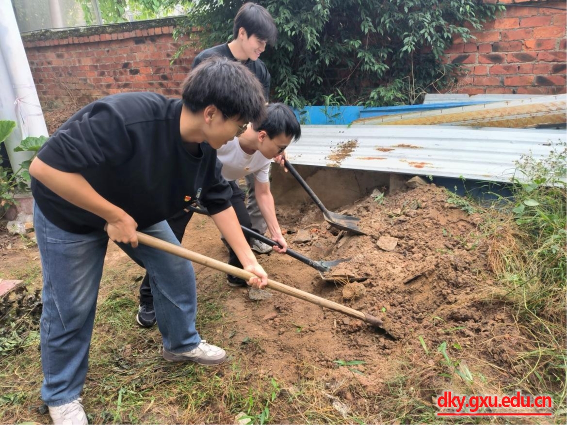 英国上市公司365