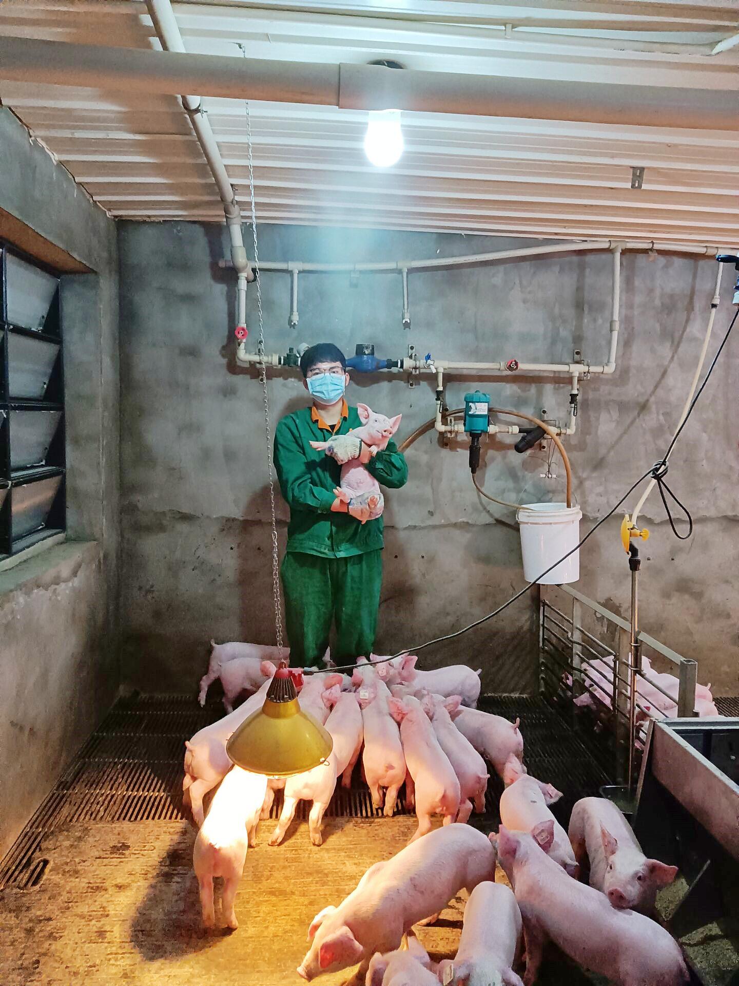 英国上市公司365