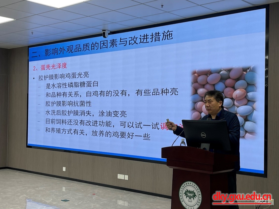 英国上市公司365