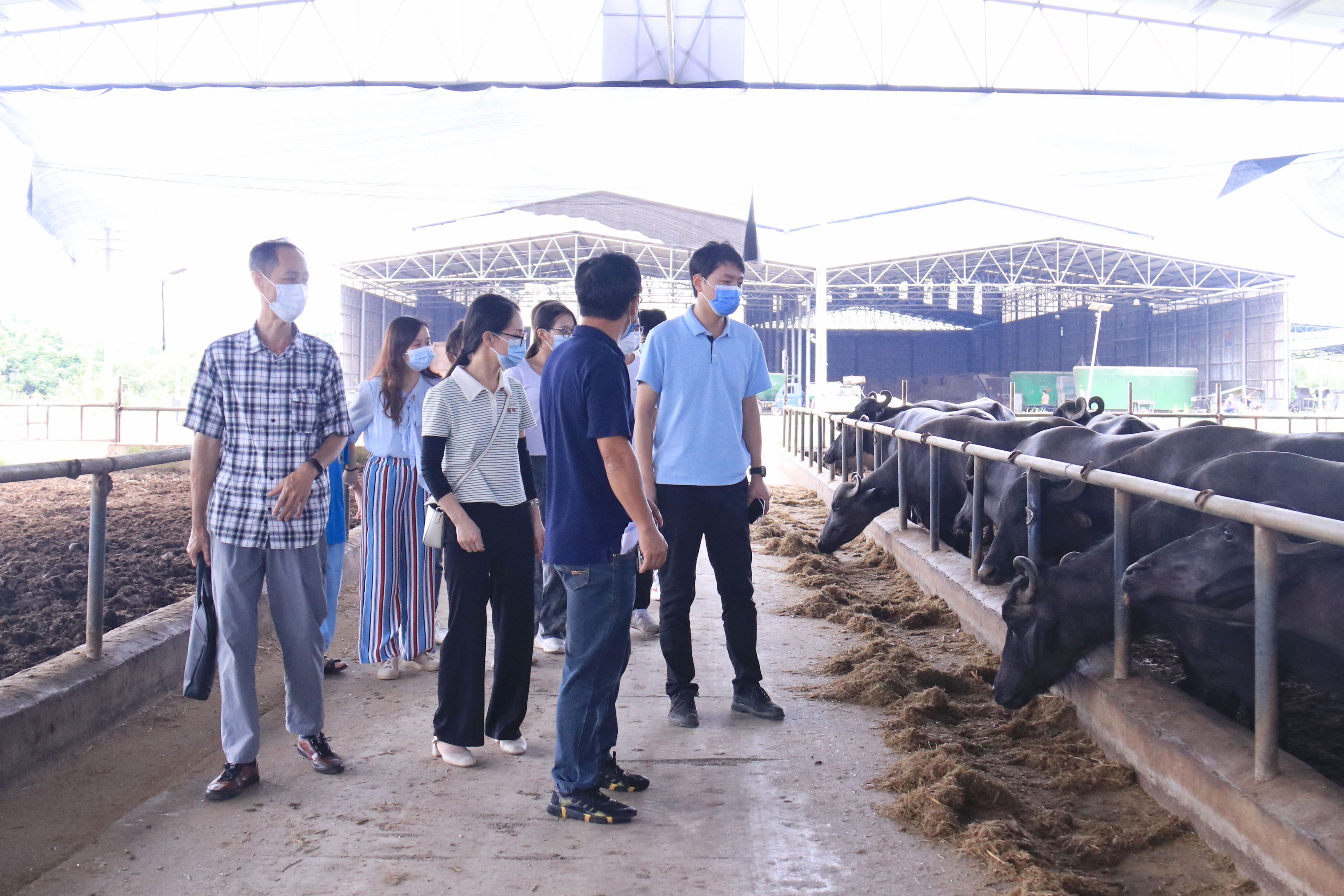 英国上市公司365