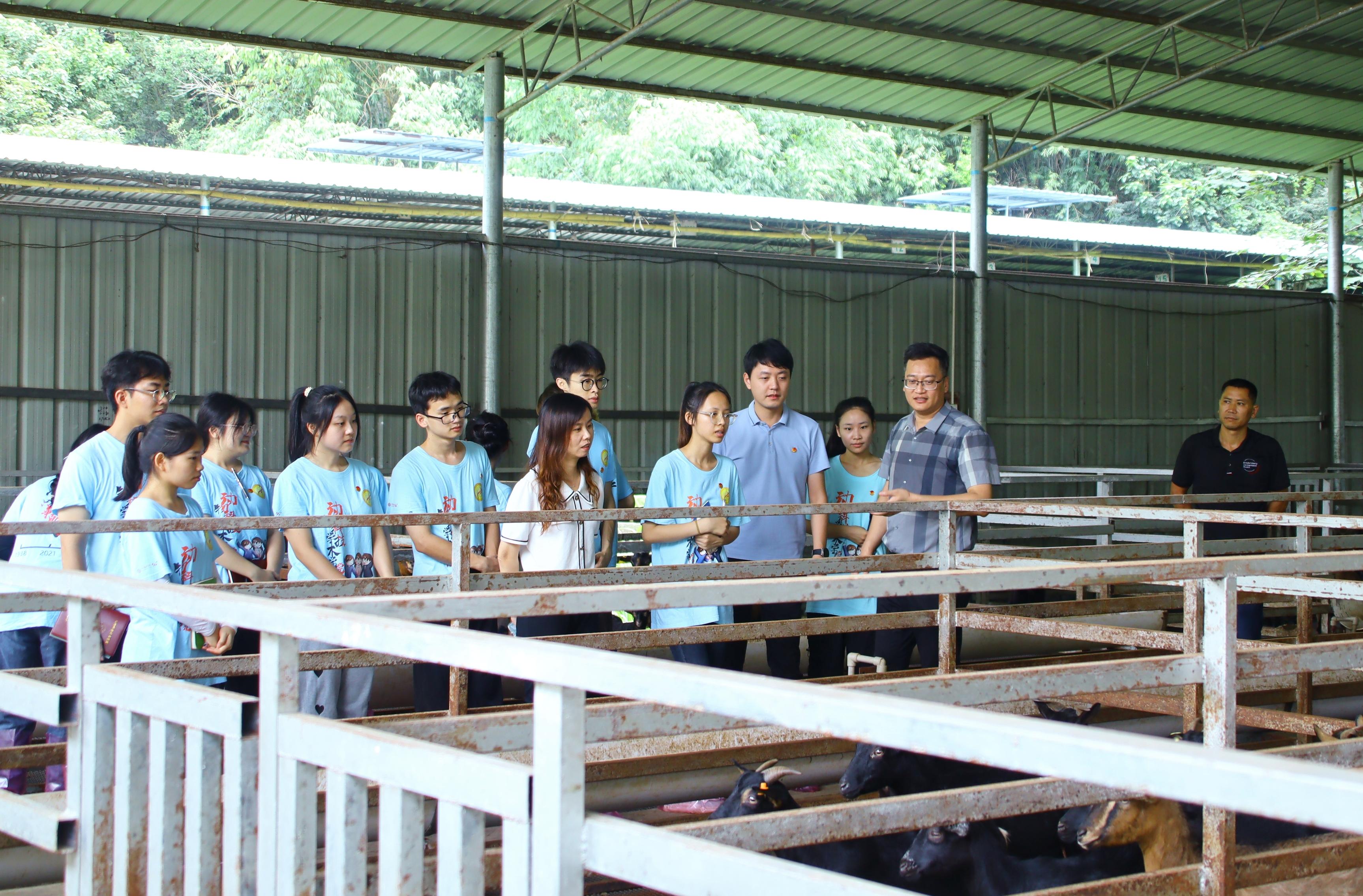 英国上市公司365