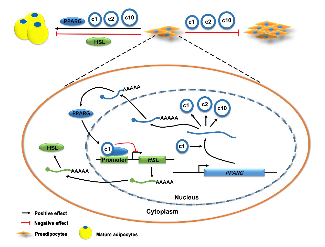 英国上市公司365
