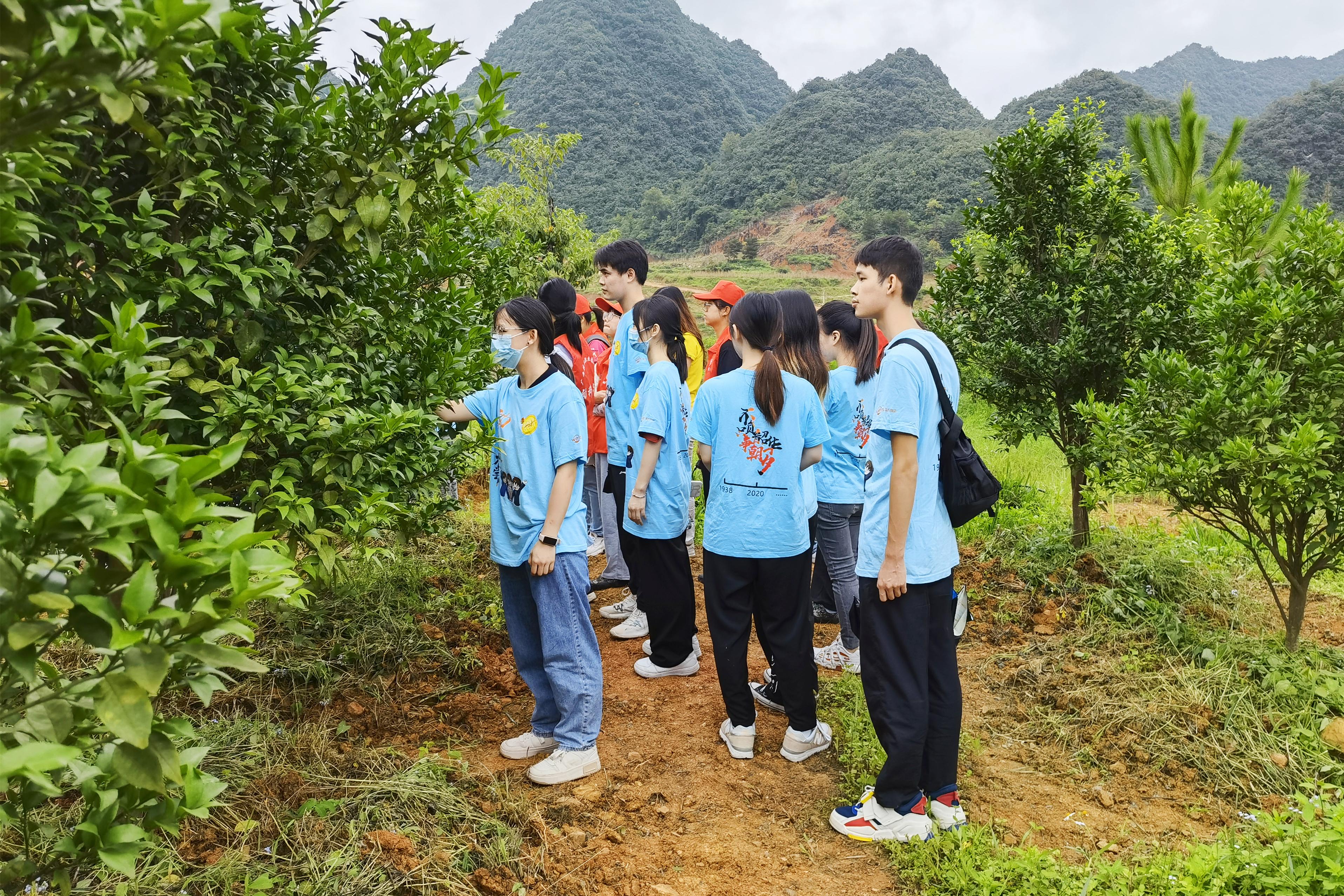 英国上市公司365