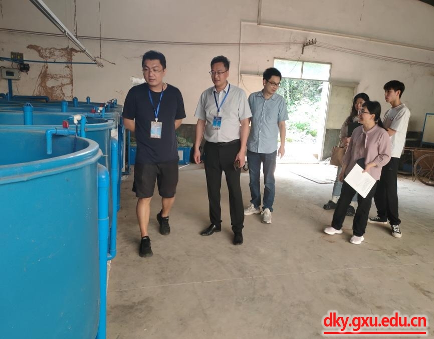 英国上市公司365