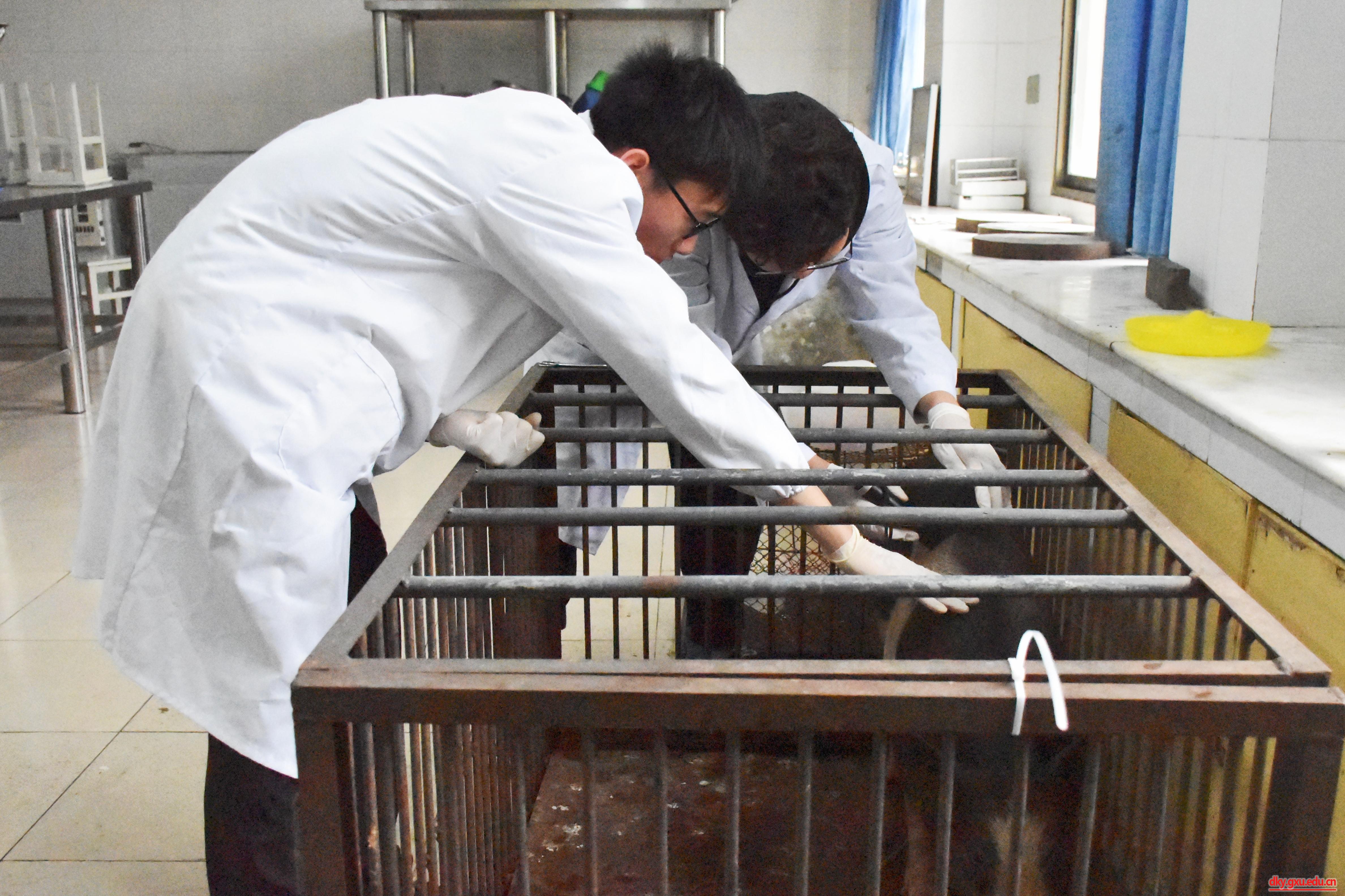 英国上市公司365