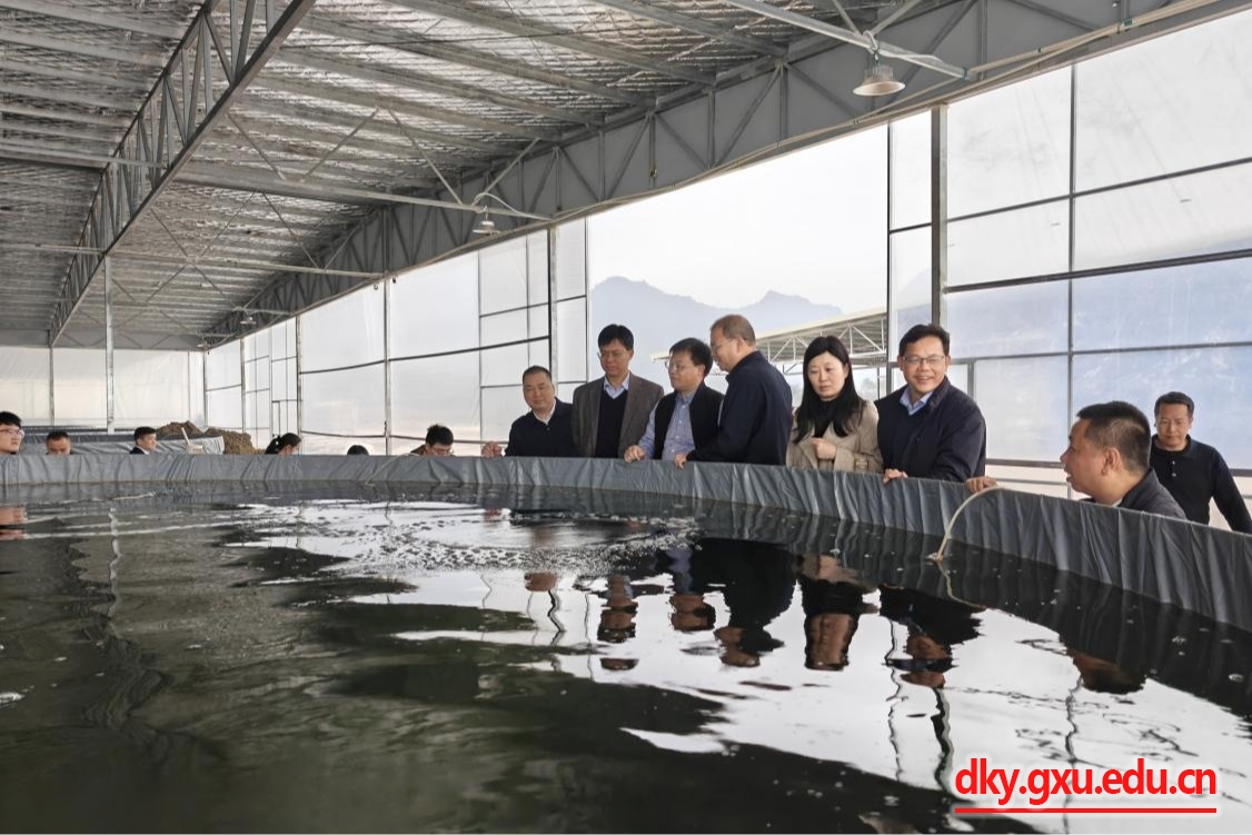 英国上市公司365