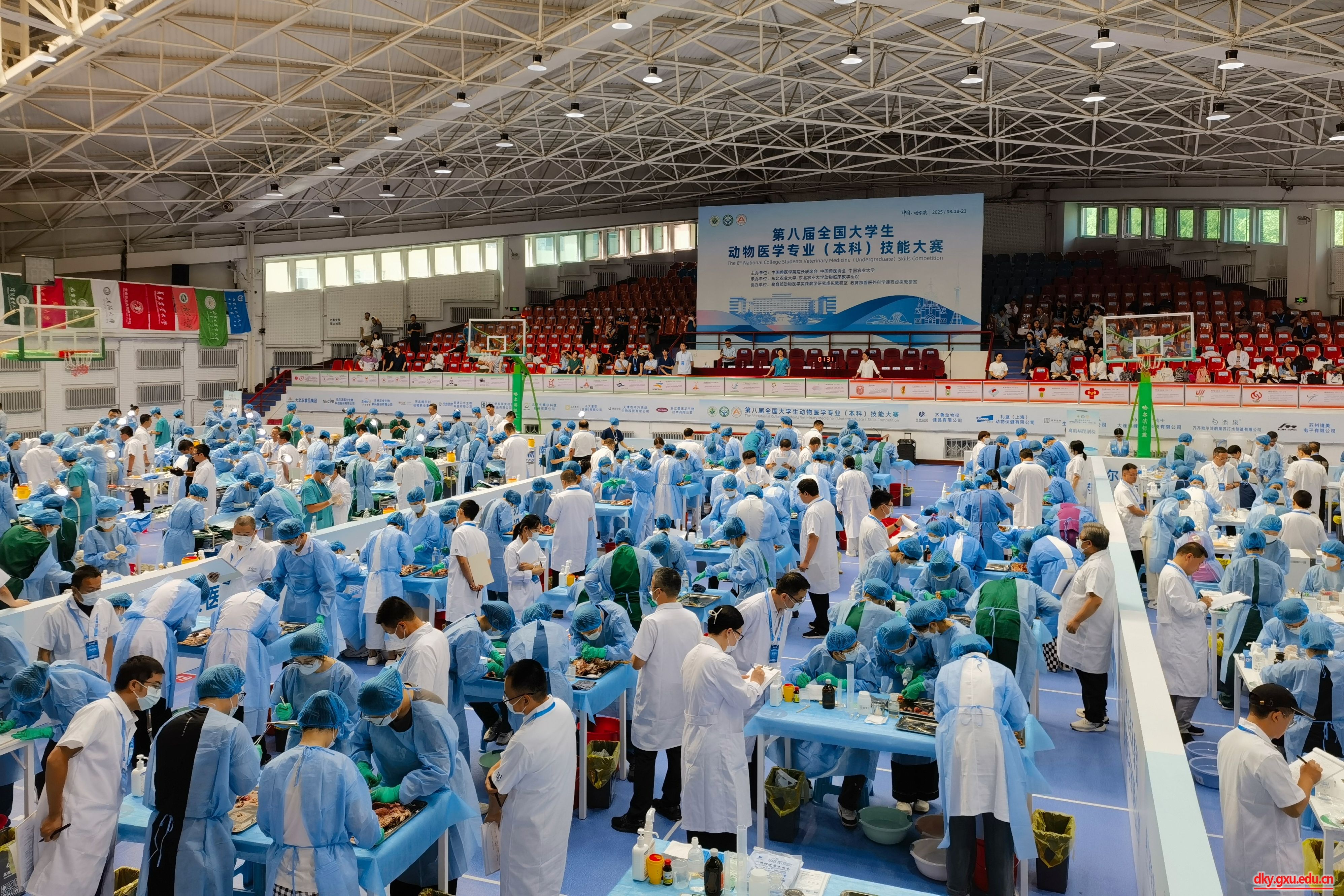 英国上市公司365