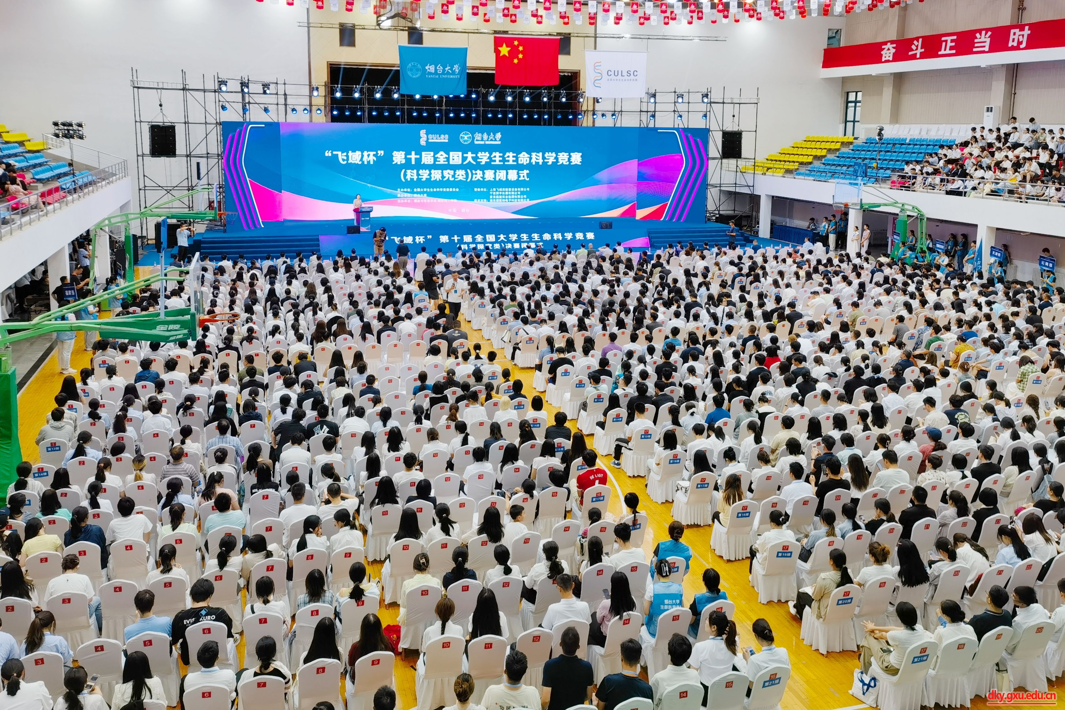 英国上市公司365