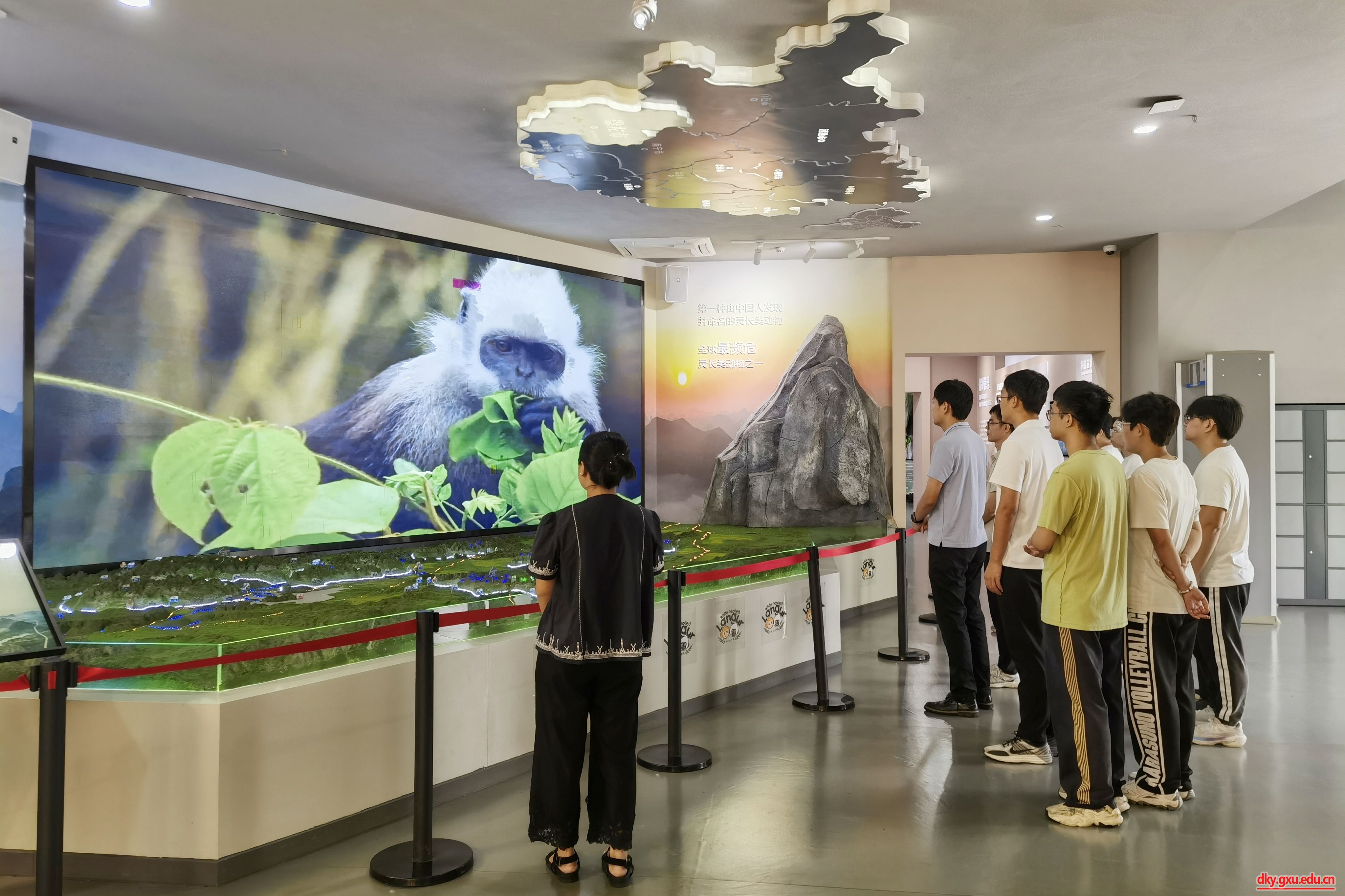 英国上市公司365