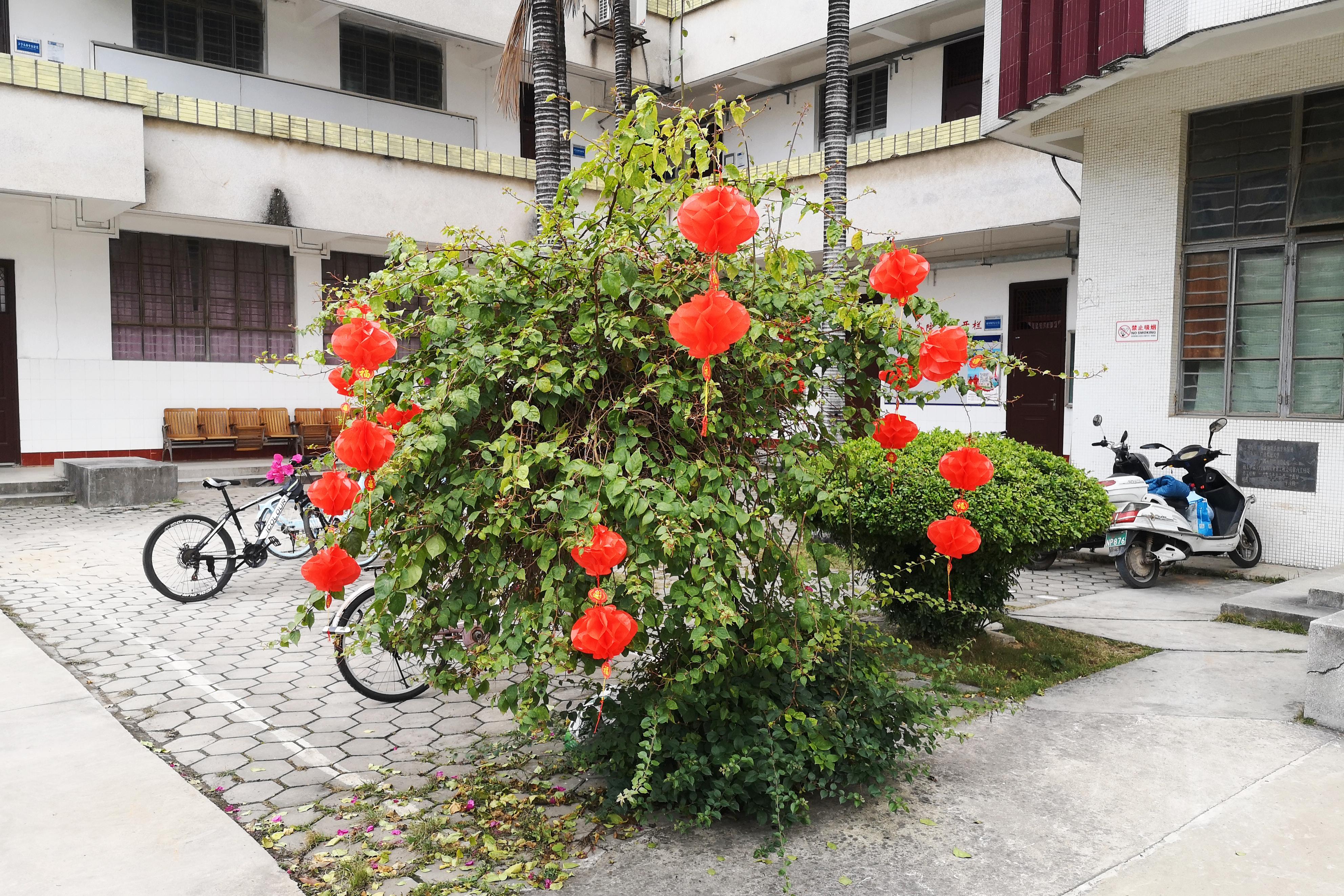 英国上市公司365