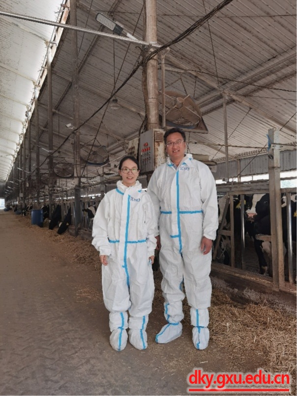 英国上市公司365