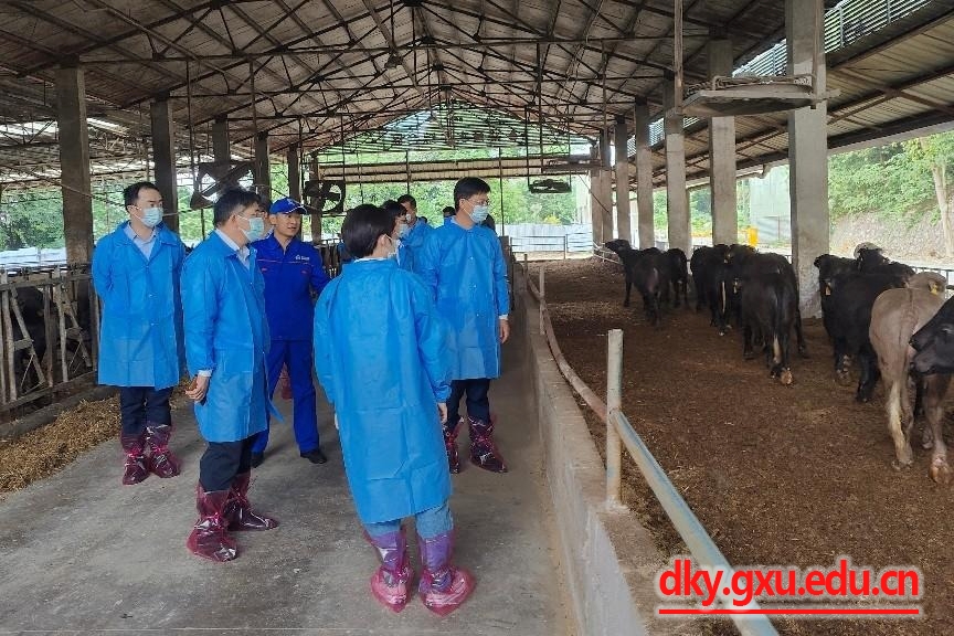 英国上市公司365