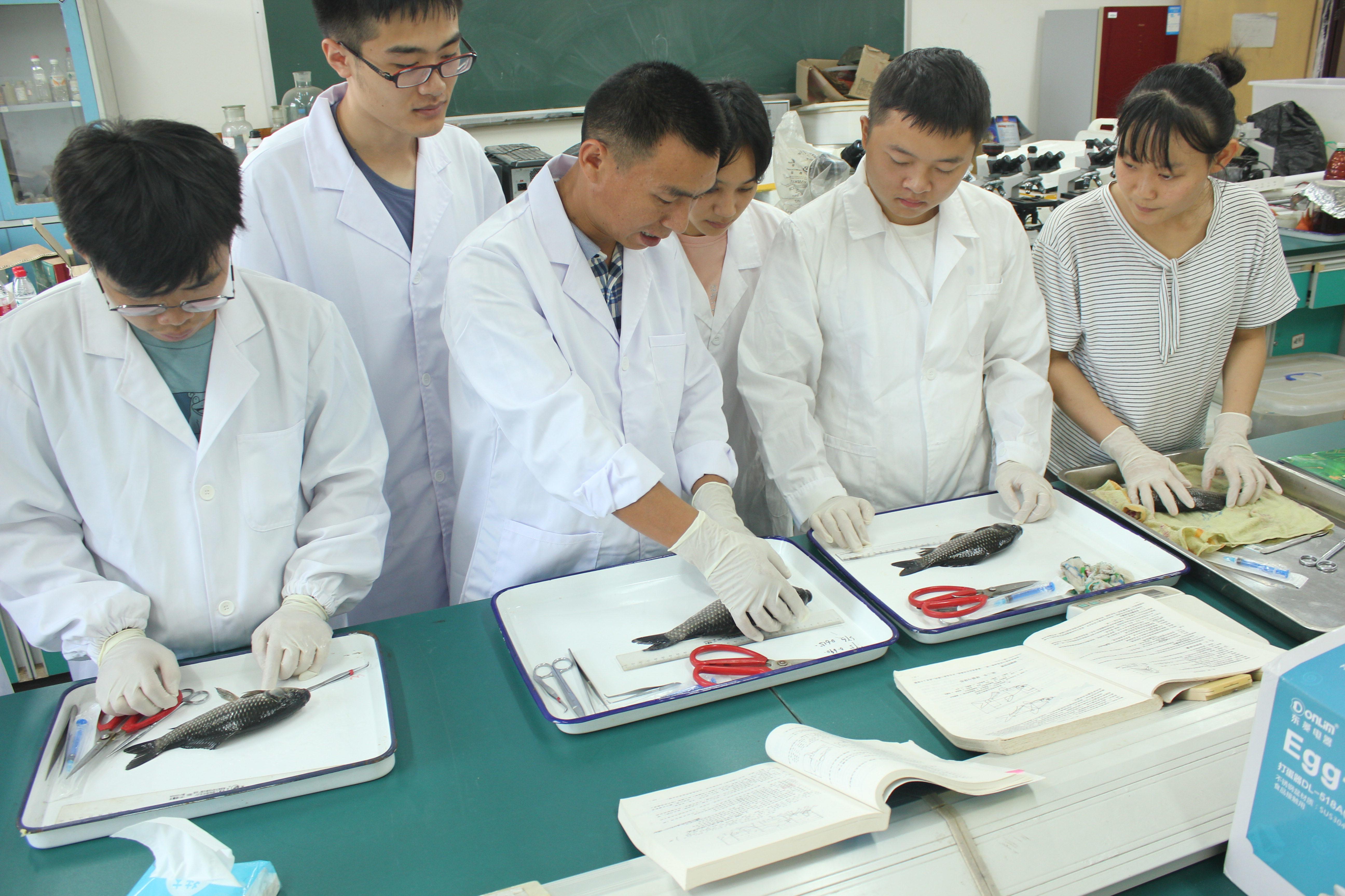 英国上市公司365