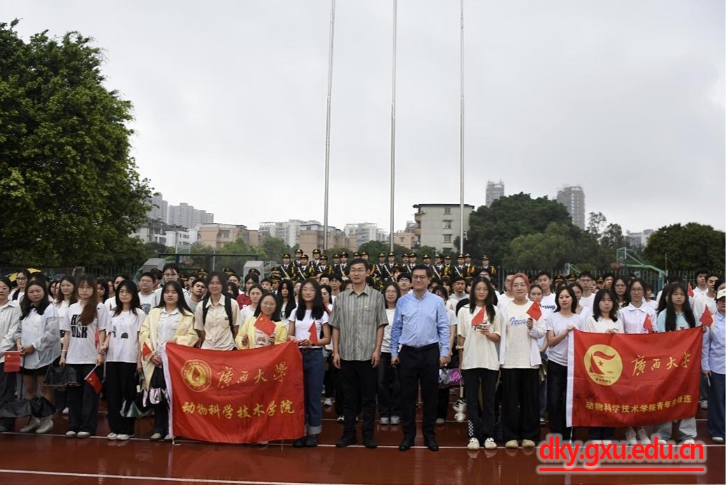 英国上市公司365