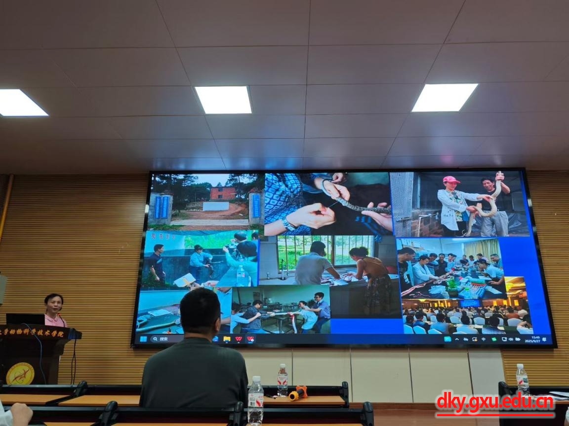 英国上市公司365