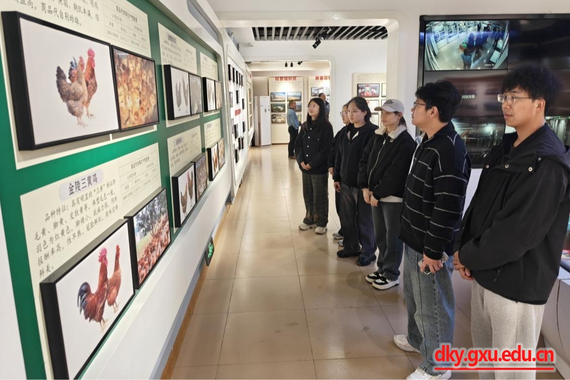 英国上市公司365