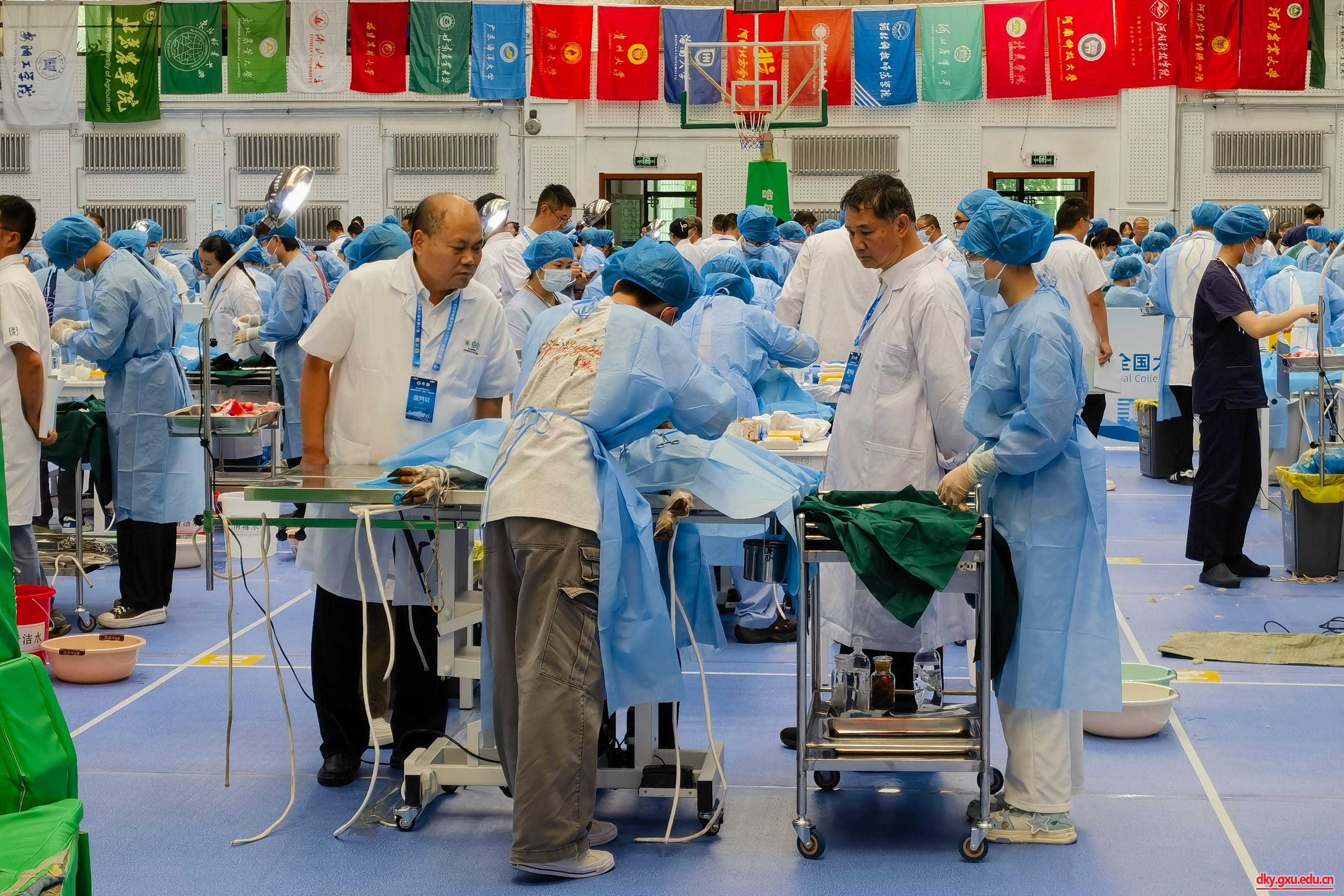 英国上市公司365