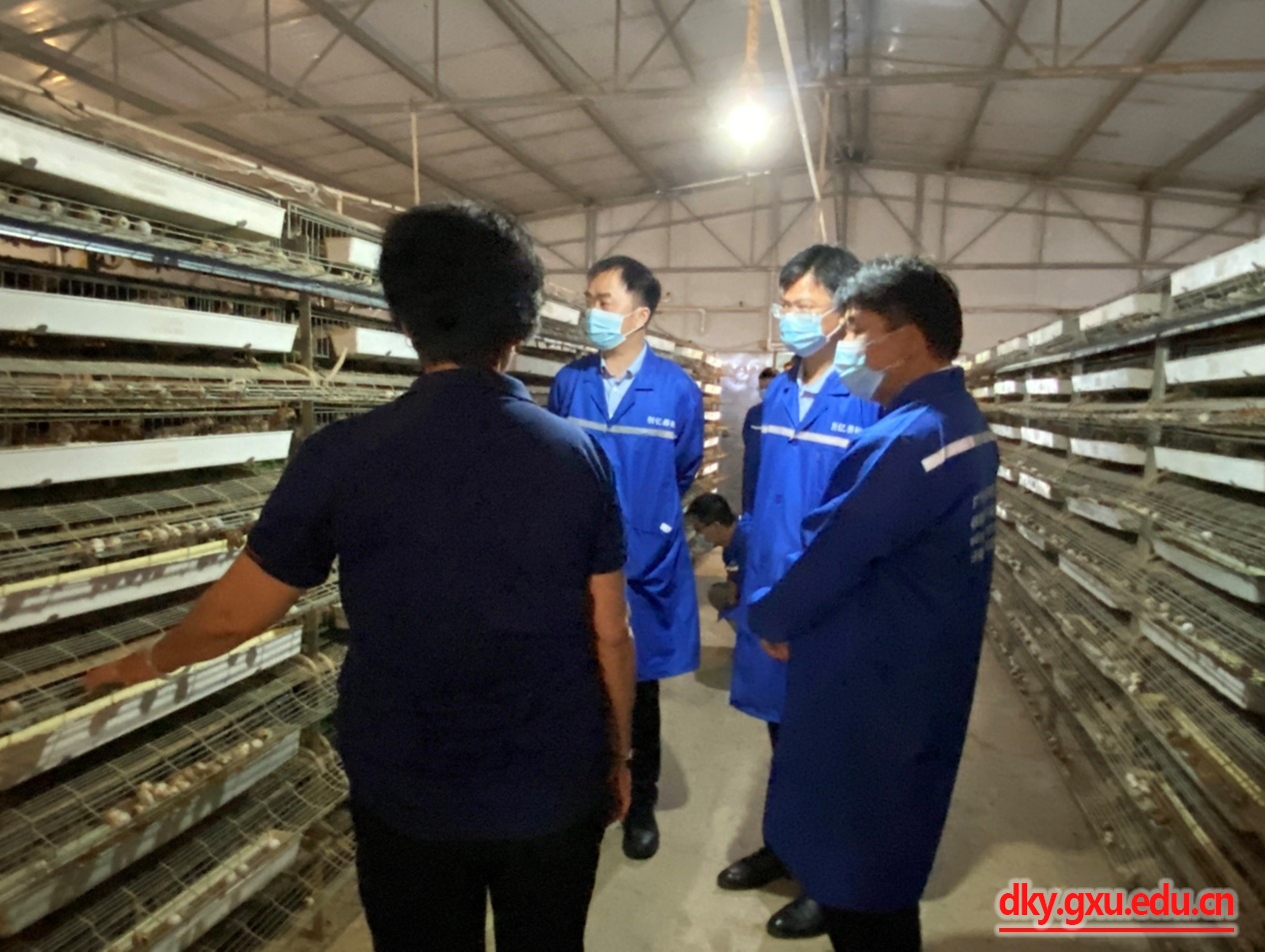 英国上市公司365