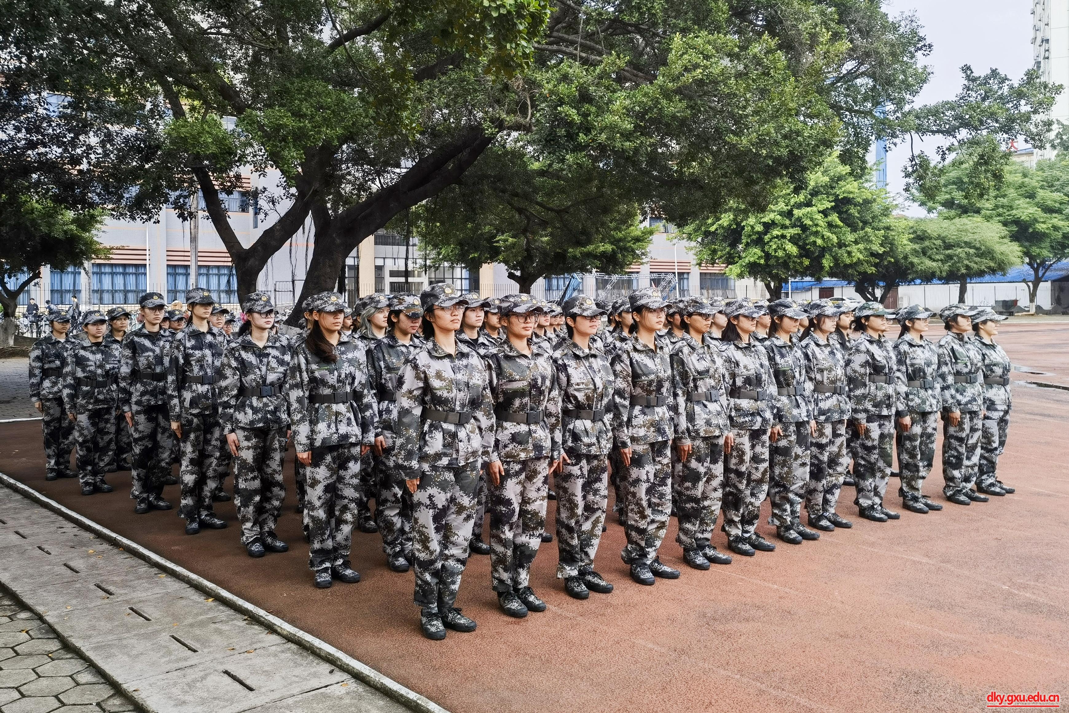 英国上市公司365